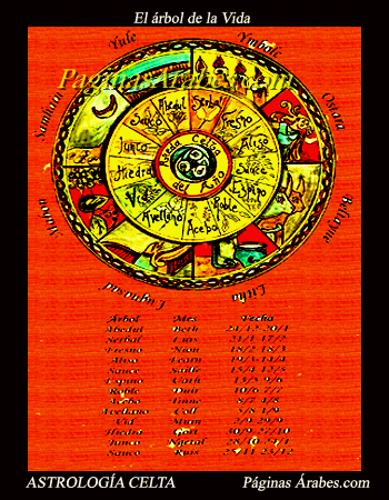 astrologia_celta_8674531