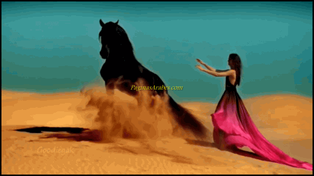 caballo_arabe_a-e1315723463125
