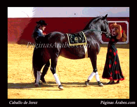 caballo_de_jerez_a