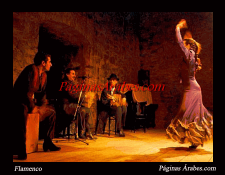 flamenco1_a