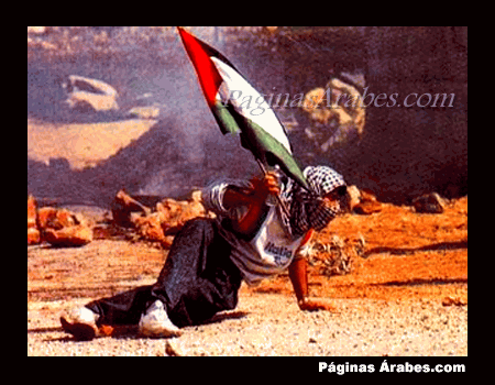 palestina_bandera_000988734_a
