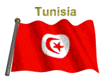 tunez_bandera_animada