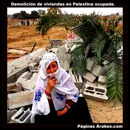 demolicion_viviendas_palestina_909087_a