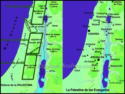 La homilía completa del Papa Francisco sobre la Galilea palestina - Páginas  Árabes
