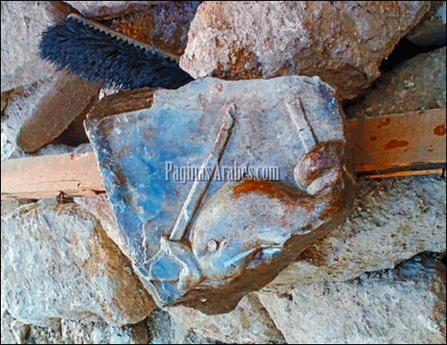 Bajorrelieve romano de un delfín, parte quizás de una fuente ©Tiempoatrás sl