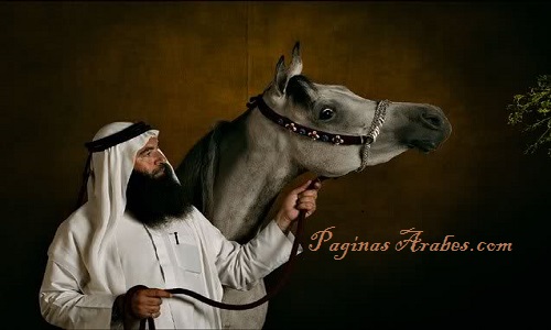 caballo_arabe