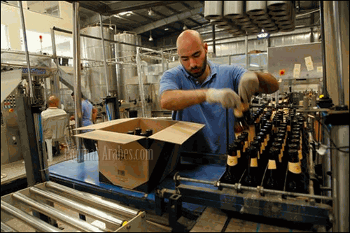 Ramzi Kharoufeh,empleado de la Cervecera Carakale, llena una caja con botellas de cerveza, pasteurizadas y etiquetadas ese día en Fuheis, Jordania ©Sam McNeil