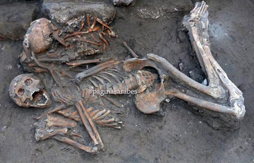 Los esqueletos de los hermanos se encontraron en 2016 en Tel Megiddo