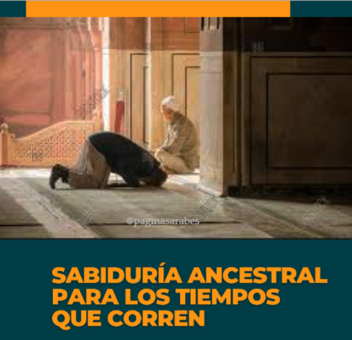 cursos madrasa rabbani