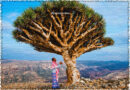 Socotra: el archipiélago que parece de otro planeta